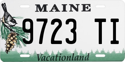 ME license plate 9723TI