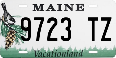 ME license plate 9723TZ