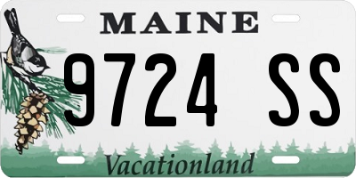 ME license plate 9724SS
