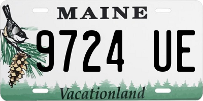 ME license plate 9724UE