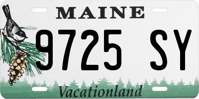 ME license plate 9725SY