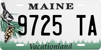 ME license plate 9725TA