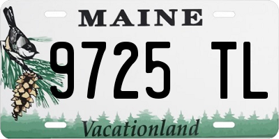 ME license plate 9725TL
