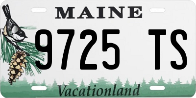 ME license plate 9725TS