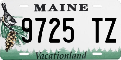 ME license plate 9725TZ