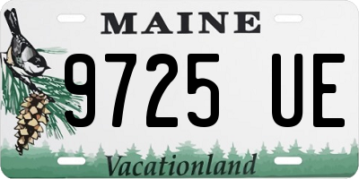 ME license plate 9725UE