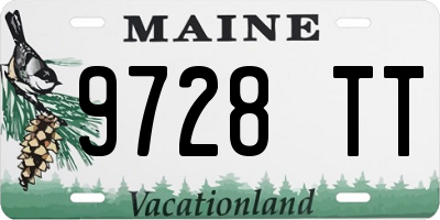 ME license plate 9728TT
