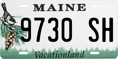 ME license plate 9730SH