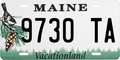 ME license plate 9730TA