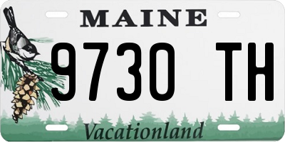 ME license plate 9730TH