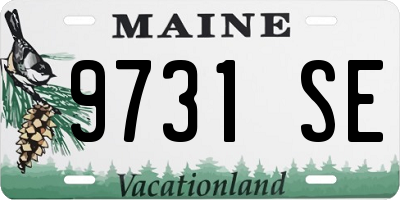 ME license plate 9731SE