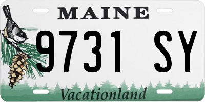 ME license plate 9731SY