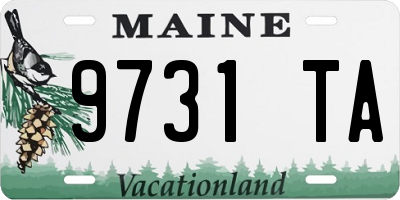ME license plate 9731TA