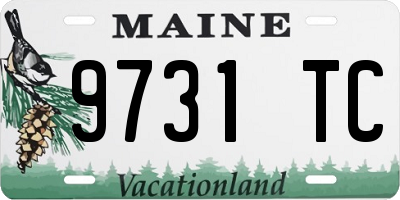 ME license plate 9731TC