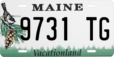 ME license plate 9731TG