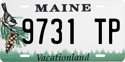 ME license plate 9731TP