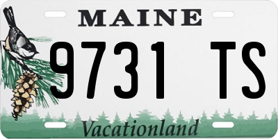 ME license plate 9731TS