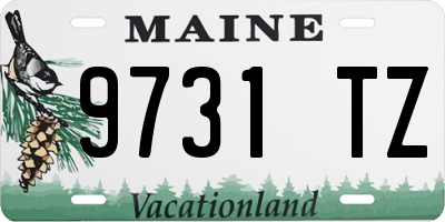 ME license plate 9731TZ