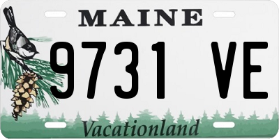 ME license plate 9731VE