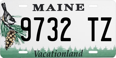 ME license plate 9732TZ