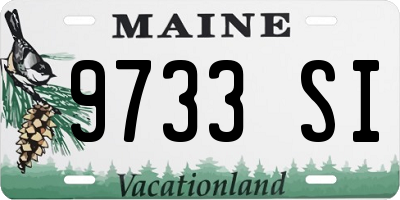 ME license plate 9733SI