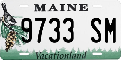 ME license plate 9733SM