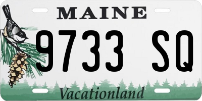 ME license plate 9733SQ