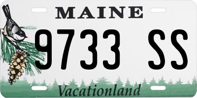 ME license plate 9733SS