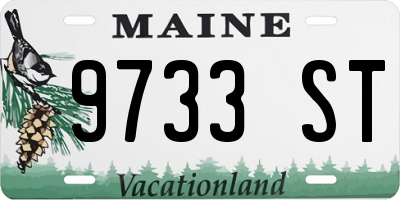 ME license plate 9733ST