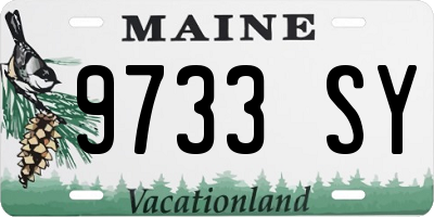 ME license plate 9733SY