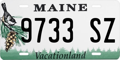 ME license plate 9733SZ