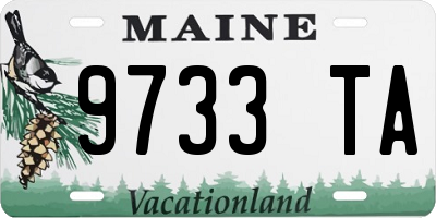 ME license plate 9733TA