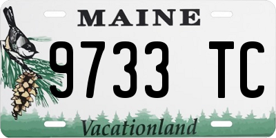 ME license plate 9733TC