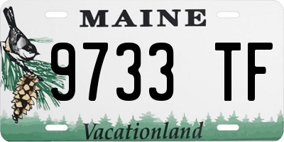 ME license plate 9733TF