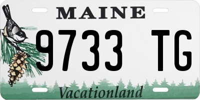 ME license plate 9733TG
