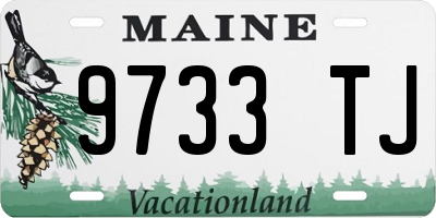 ME license plate 9733TJ