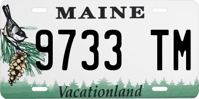 ME license plate 9733TM