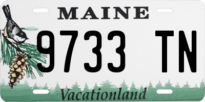 ME license plate 9733TN