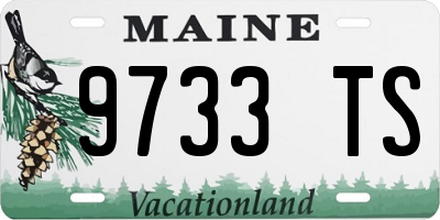 ME license plate 9733TS