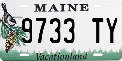 ME license plate 9733TY