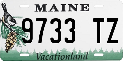 ME license plate 9733TZ