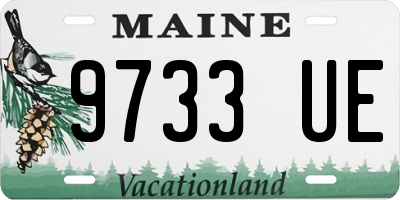 ME license plate 9733UE