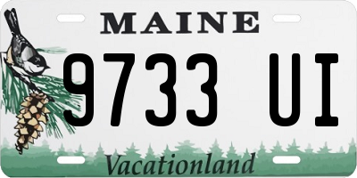 ME license plate 9733UI