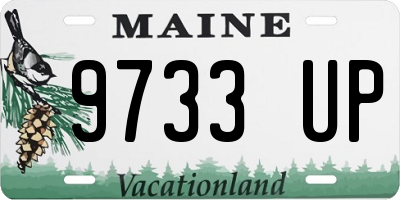 ME license plate 9733UP