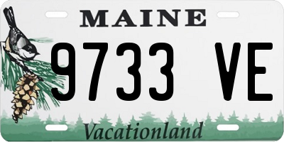 ME license plate 9733VE