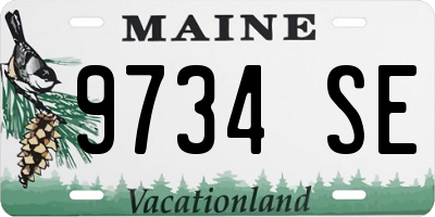 ME license plate 9734SE