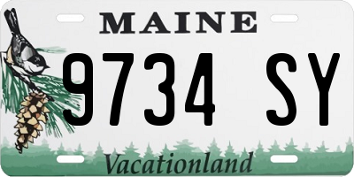 ME license plate 9734SY
