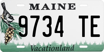 ME license plate 9734TE