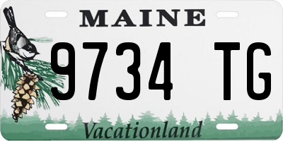 ME license plate 9734TG