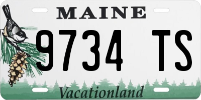 ME license plate 9734TS